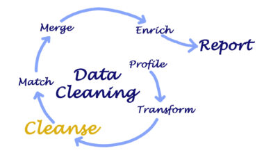 Database Cleansing: A Prerequisite for Accurate Business Analytics